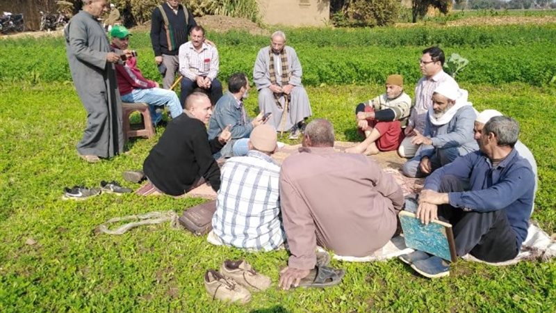 مكافحة حشائش القمح
