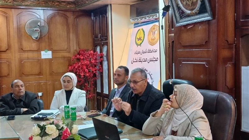 تنفيذ الاستراتيجية القومية للسكان 2030