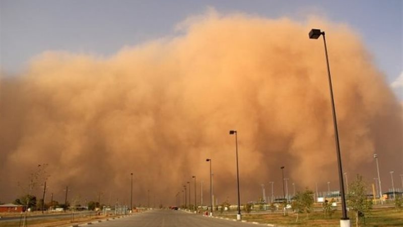 العواصف التربية