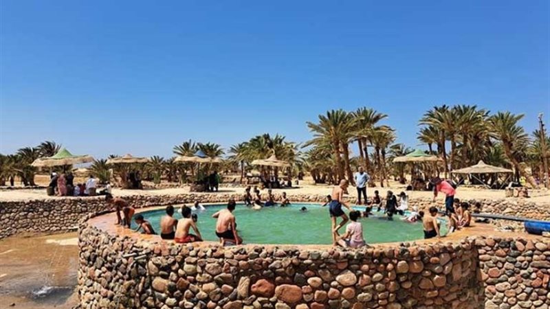عيون موسى