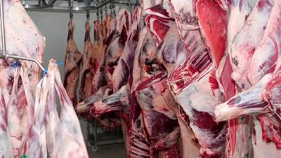 أسعار اللحوم اليوم الأربعاء 8 ديسمبر، الفلتو بـ350 جنيها