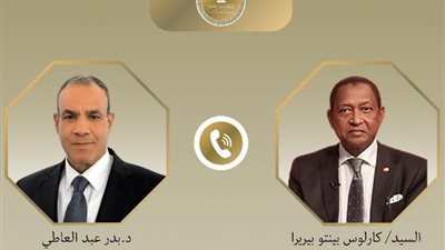 وزيرا خارحية مصر وغينيا بيساو يؤكدان ضرورة دعم العلاقات الثنائية لمواجهة التحديات