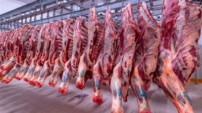المفروم بـ310 جنيهات، أسعار اللحوم اليوم السبت 11 يناير 2025