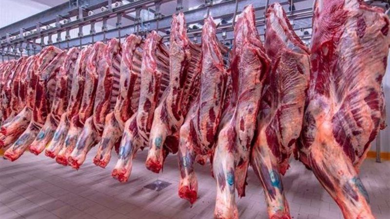أسعار اللحوم اليوم