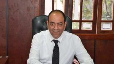 «الحركة الوطنية»: نرحب بموقف مصر لحماية وحدة وسلامة الأراضي السورية
