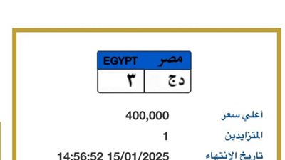 يقترب من النص مليون، الإعلان عن الفائز باللوحة 