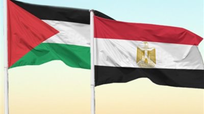 أستاذ العلاقات الدولية: جهود مصر تقترب من تحقيق صفقة لوقف إطلاق النار في غزة