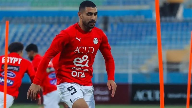 محمد ربيعة