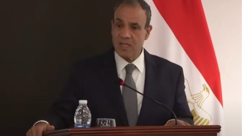وزير الخارجية والهجرة، الدكتور بدر عبد العاطي