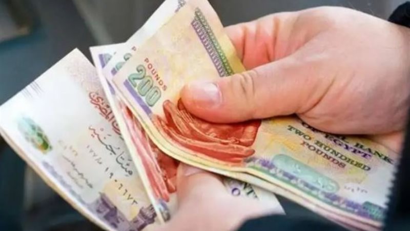 مرتبات شهر يناير 2025