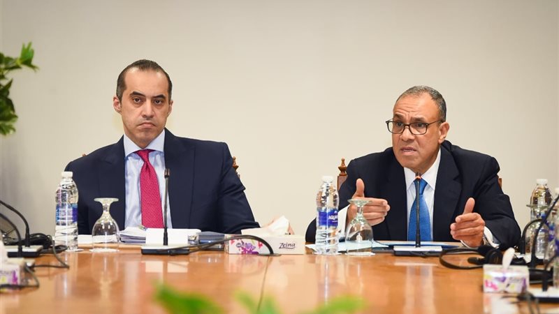 وزير الخارجية الدكتور بدر عبد العاطي
