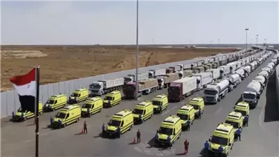 مصدر مصري: الاتفاق على إدخال 600 شاحنة مساعدات يوميا إلى غزة
