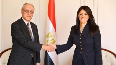 «التخطيط»: المدارس المصرية اليابانية تتوسع لتشمل محافظات «حياة كريمة»