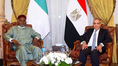 وزير الخارجية يناقش نظيره النيجيري في تطوير أداء الاتحاد الأفريقي (صور)
