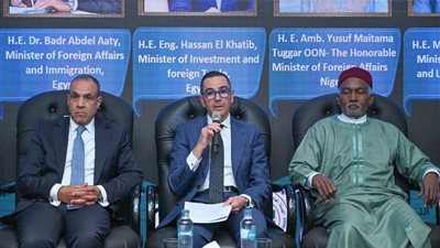 مصر ونيجيريا أكبر دولتين في أفريقيا وتعاونهما حجر الزاوية للتنمية الاقتصادية بالقارة