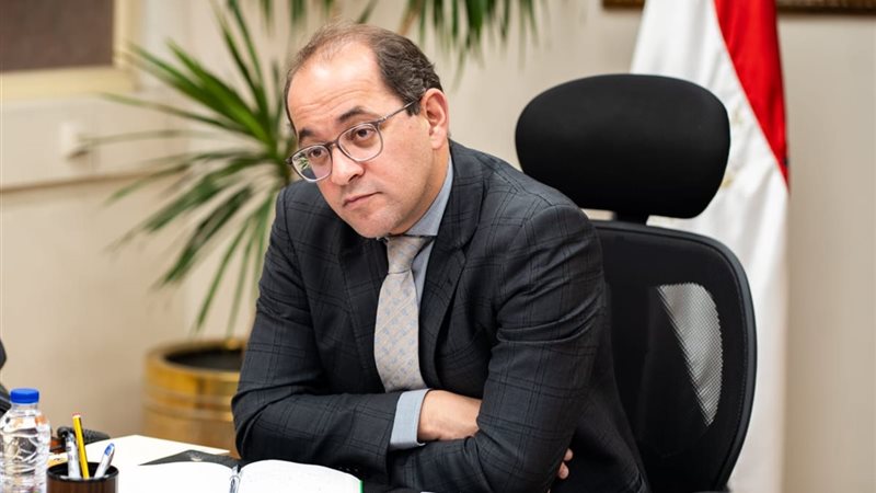 وزير المالية
