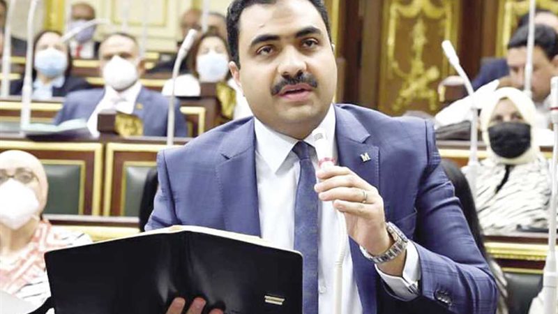 النائب محمود قاسم 