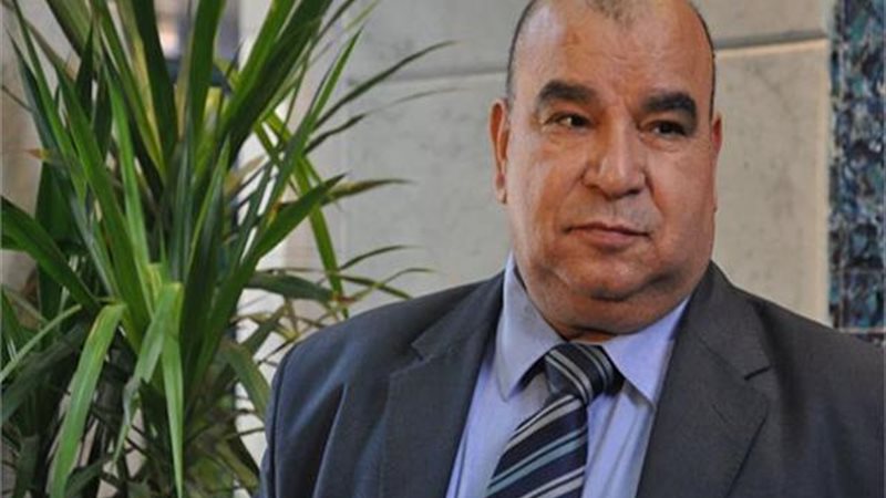  رفعت فياض، الخبير التعليمي