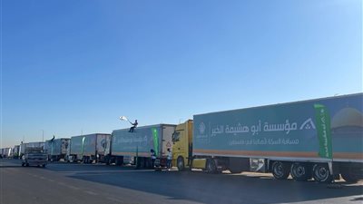 دخول الفوج الثالث من القافلة السابعة للمساعدات المصرية إلى غزة (فيديو) 