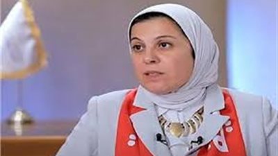 المدير التنفيذي للهلال الأحمر: الجهد المصري لم يتوقف يومًا واحدًا منذ بدء العدوان على غزة