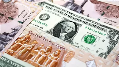 أسعار الدولار مقابل الجنيه المصري في بداية تعاملات اليوم السبت