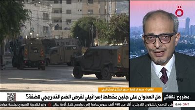 محمد مصطفى أبو شامة: مصر تبذل جهدا باستمرار لحماية الشعب الفلسطيني (فيديو)