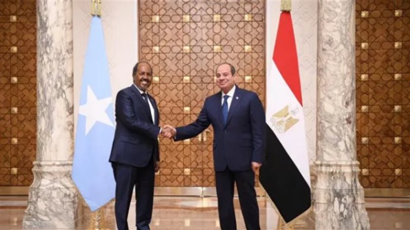 الرئيسان المصري والصومالي