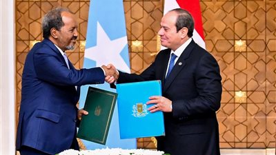السفير جمال بيومي: الصومال ومصر لديهما اهتمام بالأمن الإقليمي (فيديو)