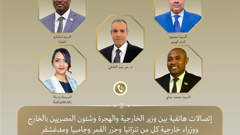وزير الخارجية الدكتور بدر عبد العاطي