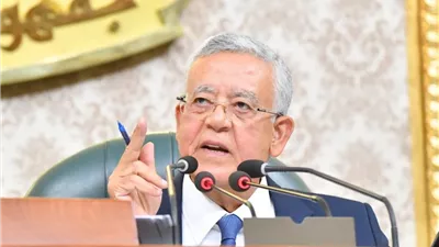 غياب وزير الصحة عن مناقشة «المسؤولية الطبية» يثير غضب رئيس النواب