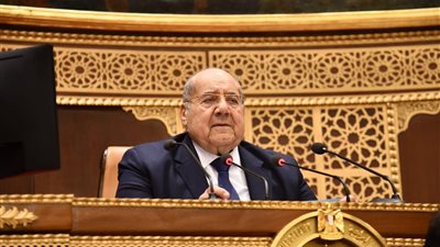 «الشيوخ» يحيل عددا من تقارير اللجان النوعية إلى الحكومة