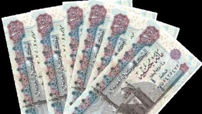 6 حالات تُسقط عن المؤمن عليه «تعويض البطالة».. تعرف عليها