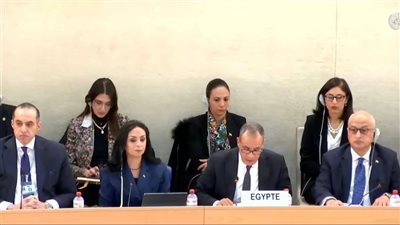 وزير الخارجية: إرادة سياسية قوية تقود مصر لتحقيق تقدم كبير في حقوق الإنسان