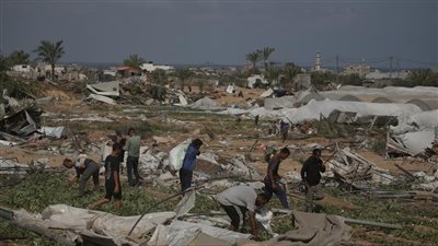 بعد إتلاف 75 % من حقول غزة..«الفاو» تدعو لتمويل الإنتاج الغذائي في القطاع