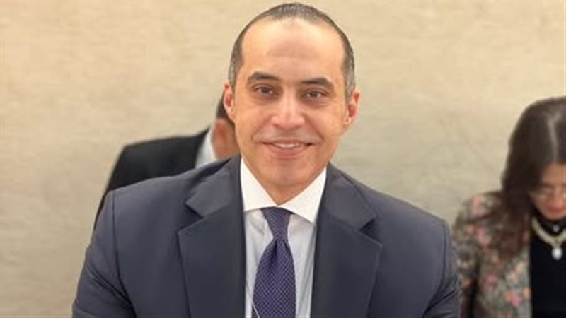 المستشار محمود فوزي