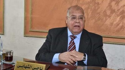 الجيل الديمقراطى: غياب قادة الدول العربية السبعة لم يضعف القمة وقراراتها