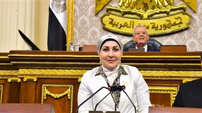 برلمانية: مصر لا تقبل المساومة أو التهديد وموقفها ثابت تجاه القضية الفلسطينية