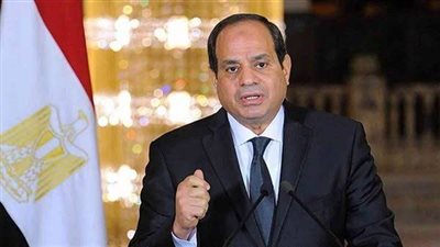 الإعلاميون والأكاديميون العرب يؤيدون موقف مصر تجاه القضية الفلسطينية 