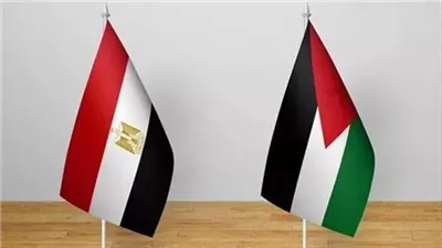 العالم يرفض التهجير.. مساندة دولية لموقف مصر الرافض لتصفية قضية فلسطين