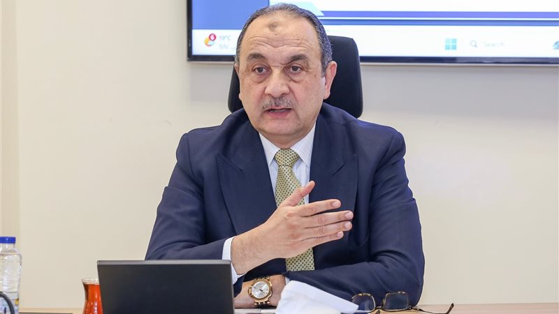 وزير قطاع الأعمال 