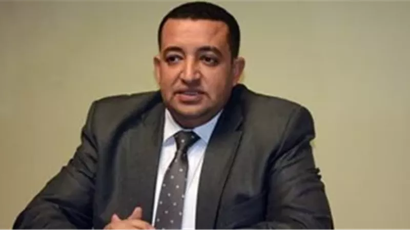 النائب تامر عبد القادر عضو مجلس النواب