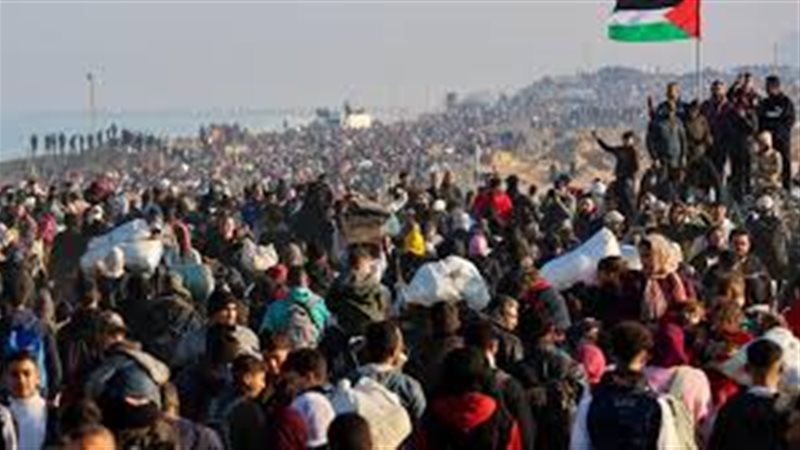 فلسطين