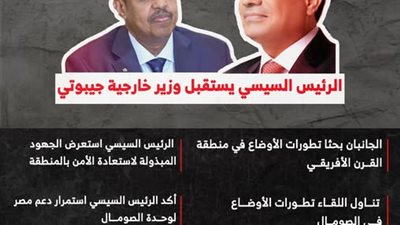 الرئيس السيسي يؤكد استمرار الجهود المصرية لدعم وحدة الصومال