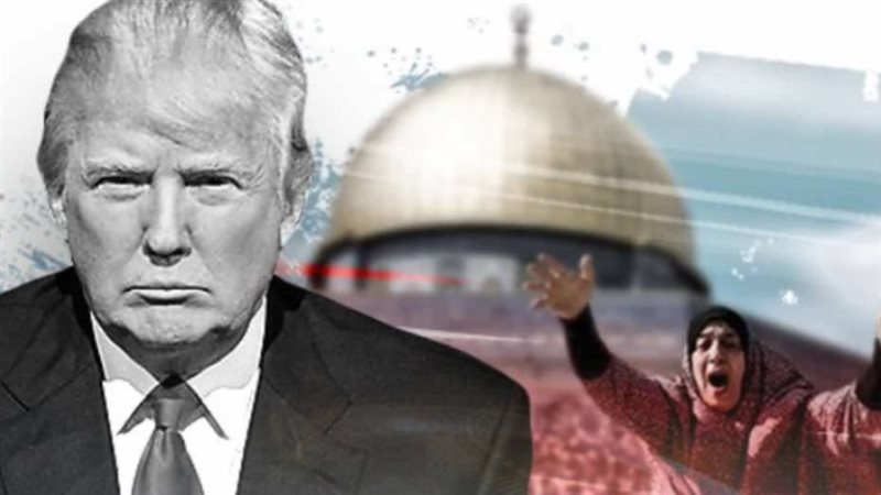 الرئيس الأمريكي دونالد ترامب 