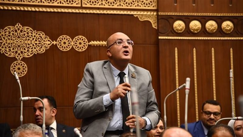 النائب عمرو عزت