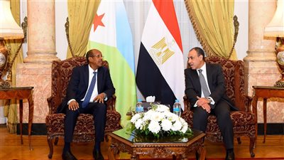 مباحثات بين مصر وجيبوتي لتعزيز الأمن البحري ودعم استقرار الصومال (إنفوجراف)
