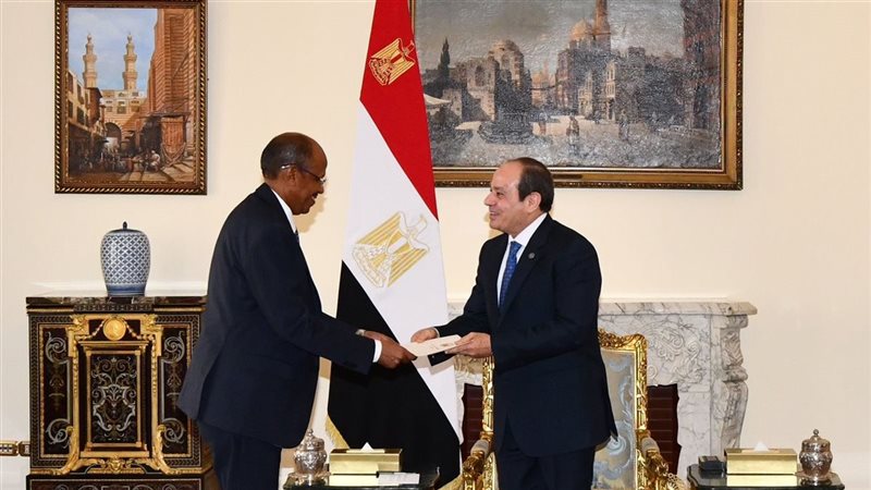 الرئيس عبد الفتاح السيسي 