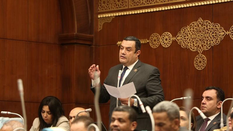 النائب أكمل نجاتي أمين سر لجنة الشئون الاقتصادية بالشيوخ 