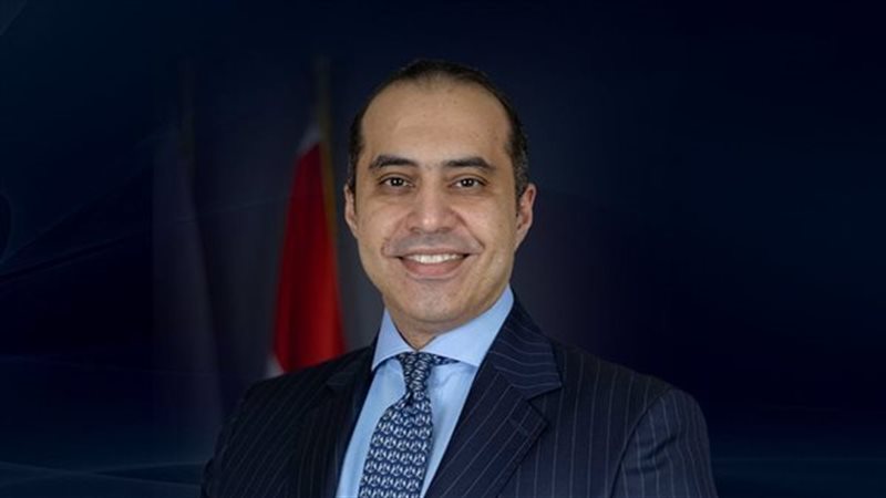 المستشار محمود فوزي، وزير الشئون النيابية والقانونية