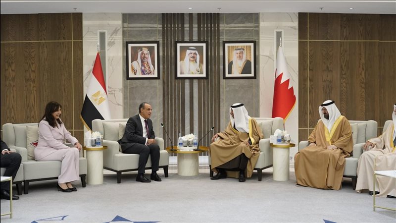 وزير الخارجية والهجرة الدكتور بدر عبد العاطي